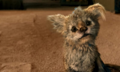 Zdjęcie okładkowe wpisu: Poruszająca zapowiedź nowego filmu Netflixa! Chupa już w kwietniu