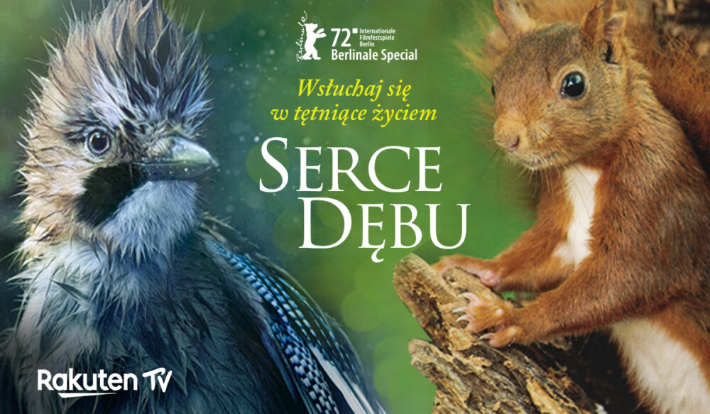Zdjęcie okładkowe wpisu: Wyniki: Wygraj kod do filmu! “Serce dębu” już dostępne w serwisach streamingowych!