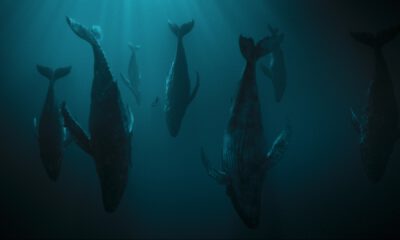 Zdjęcie okładkowe wpisu: Zobacz zwiastun nowego serialu twórców Gry o tron! Premiera w maju na Viaplay