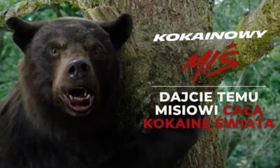 Zdjęcie okładkowe wpisu: Kokainowy miś – recenzja filmu. Absurd goni absurd… coś pięknego