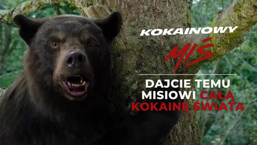 Zdjęcie okładkowe wpisu: Kokainowy miś – recenzja filmu. Absurd goni absurd… coś pięknego