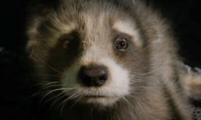 Zdjęcie okładkowe wpisu: Strażnicy Galaktyki vol. 3 ze zdjęciem Rocketa z Total Film