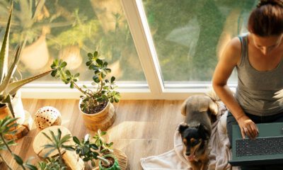 Zdjęcie okładkowe wpisu: Ekologiczna linia produktów Acer Vero powiększa się o nowy laptop oraz projektor