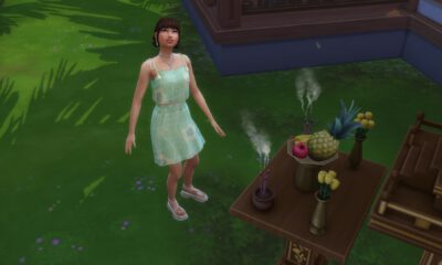 the sims 4 do wynajęcia