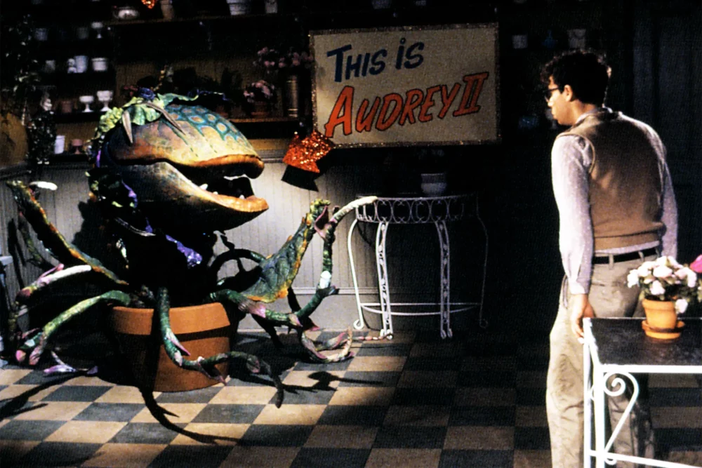 Zdjęcie okładkowe wpisu: The Little Shop of Horrors doczeka się rebootu za sprawą reżysera Gremlinów