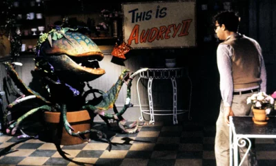 Zdjęcie okładkowe wpisu: The Little Shop of Horrors doczeka się rebootu za sprawą reżysera Gremlinów