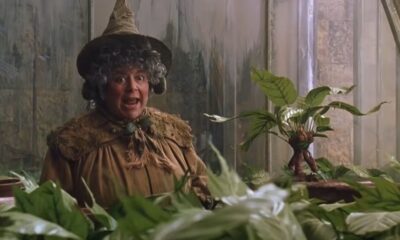 Zdjęcie okładkowe wpisu: Miriam Margolyes odrzuciła pół bańki od Marvela! Miała grać w serialu o Agacie Harkness