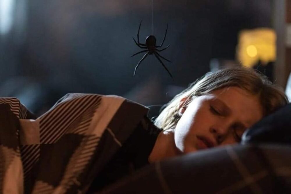 Zdjęcie okładkowe wpisu: Zwiastun horroru Gniazdo pająka spowoduje u Was arachnofobię! Film w kinach od 3 maja