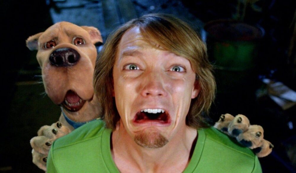 Zdjęcie okładkowe wpisu: Matthew Lillard powraca jako Kudłaty. Aktor potwierdza nowy projekt