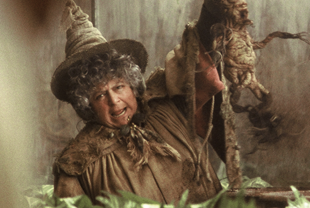 Zdjęcie okładkowe wpisu: Harry Potter dla dzieci? Odtwórczyni roli profesor Sprout wkłada kij w mrowisko