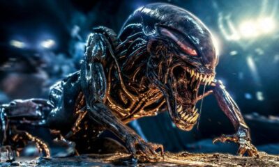 Zdjęcie okładkowe wpisu: Jak wypada Alien: Romulus w oczach Scotta i Camerona? Reżyser odpowiada