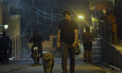 Zdjęcie okładkowe wpisu: Poznaj poruszającą historię bohaterskiego psa Artura! Tylko w kinach od 26 kwietnia!