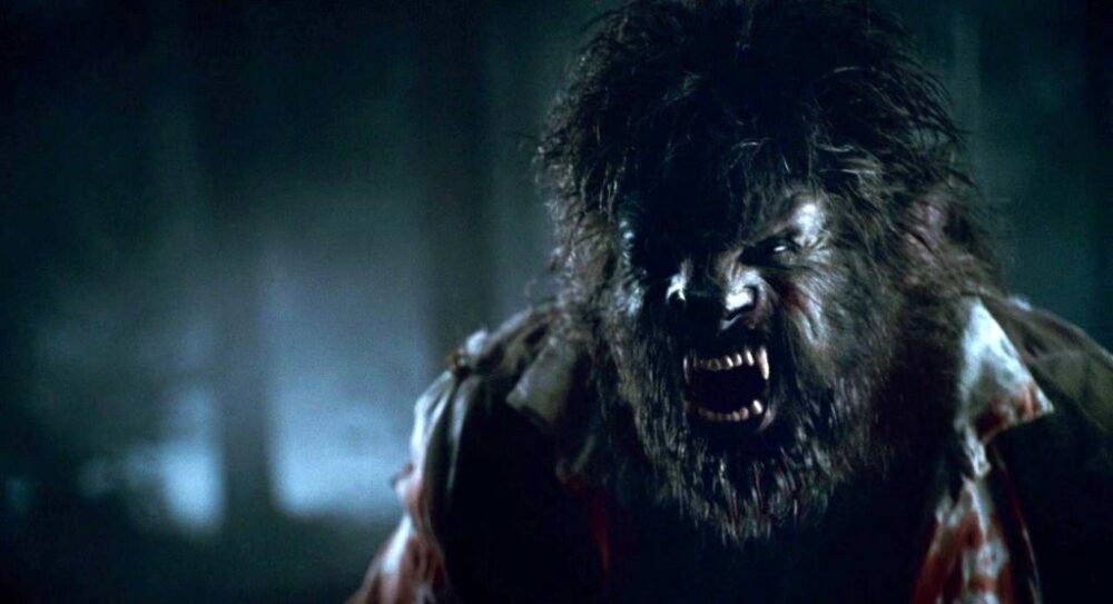 Zdjęcie okładkowe wpisu: Czy Wolf Man będzie częścią Dark Universe Universalu? Producent remake’u zabrał głos