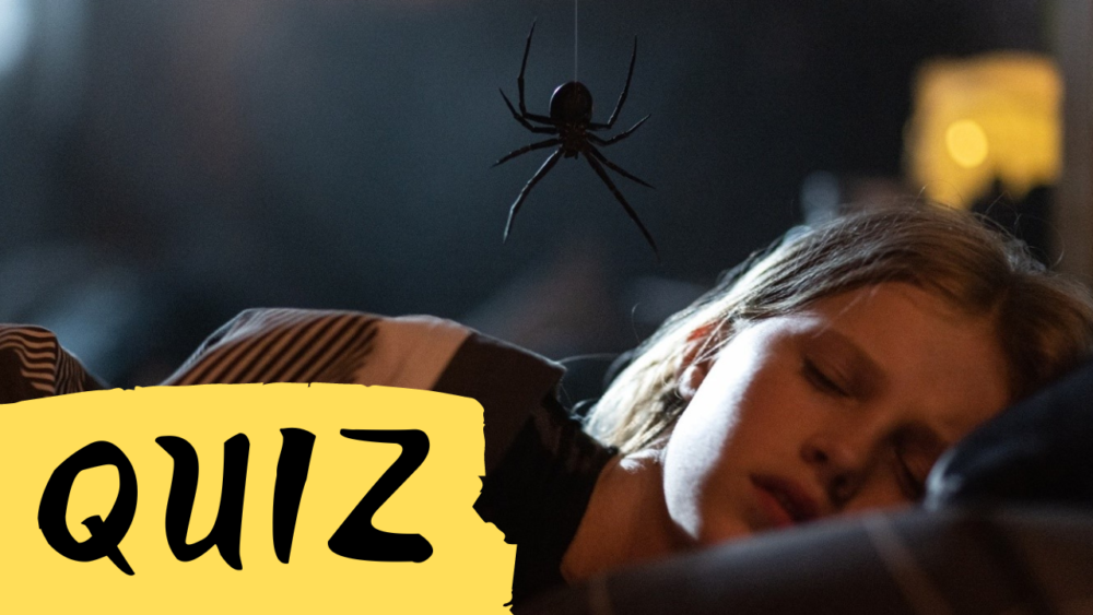 Zdjęcie okładkowe wpisu: QUIZ: Rozpoznaj filmy z pająkami. Gniazdo pająka już w kinach!