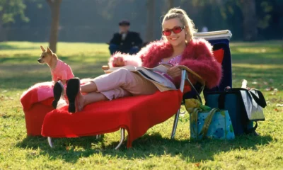 Zdjęcie okładkowe wpisu: Prequel Legalnej Blondynki, co wiemy o serialu Amazona?