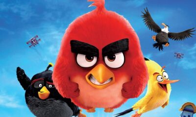 Zdjęcie okładkowe wpisu: To się dzieje! Ruszyła produkcja Angry Birds 3!