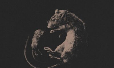 Zdjęcie okładkowe wpisu: 24 MFF. Nowe Horyzonty: Skarby – recenzja filmu. Uczucia ukryte pod warstwą śmieci.