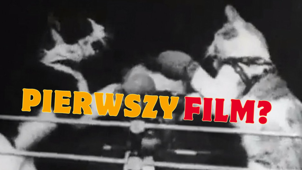 Zdjęcie okładkowe wpisu: Jaki był pierwszy film? Walczące kotki, biegnący koń i historia kinematografii!
