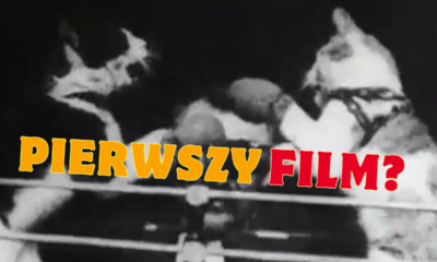 Zdjęcie okładkowe wpisu: Jaki był pierwszy film? Walczące kotki, biegnący koń i historia kinematografii!