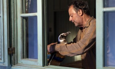 Zdjęcie okładkowe wpisu: Mój przyjaciel Pingwin wkrótce w kinach. Poznaj historię, która nie mogła się wydarzyć, a jednak