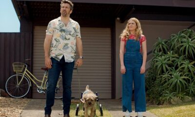 Zdjęcie okładkowe wpisu: Colin from Accounts sezon 2. – Komedia Paramount+ na nowej zapowiedzi