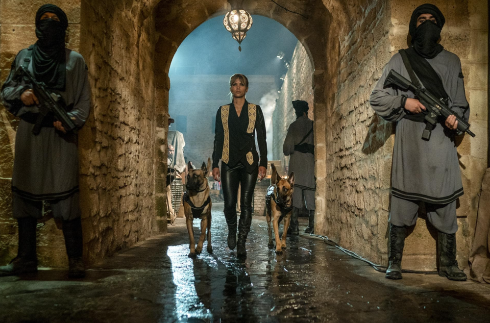 Zdjęcie okładkowe wpisu: Czy powstanie kolejny spin-off serii John Wick? Halle Berry o potencjalnym powrocie jej postaci