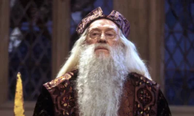 Zdjęcie okładkowe wpisu: Syn filmowego Dumbledore’a sprzeciwia się powstaniu nowego Harry’ego Pottera