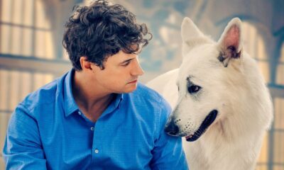 Zdjęcie okładkowe wpisu: Lampo powraca! Trwają zdjęcia do O psie, który jeździł koleją 2