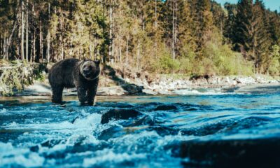 Zdjęcie okładkowe wpisu: Głośne nazwiska w polskim serialu od SkyShowtime! Śleboda zadebiutuje w grudniu