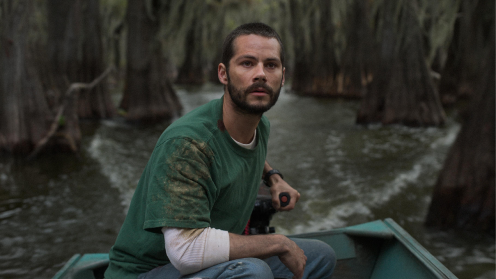 Zdjęcie okładkowe wpisu: Caddo Lake, nowy film wyprodukowany przez Shyamalana, już w serwisie Max