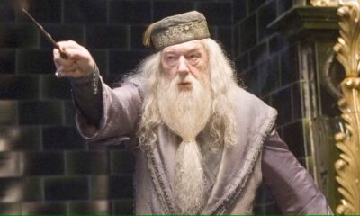 Zdjęcie okładkowe wpisu: Nowy Dumbledore idealnym wyborem? Co sądzą fani Harry’ego Pottera?