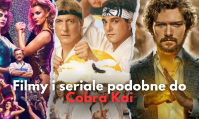 Zdjęcie okładkowe wpisu: Co obejrzeć po Cobra Kai? Seriale i filmy podobne do hitu Netflix