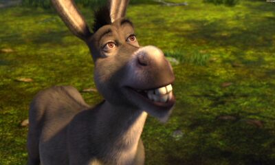 Zdjęcie okładkowe wpisu: Jarosław Boberek nowym głosem Osła w Shrek 5? Co mówi o tym aktor?