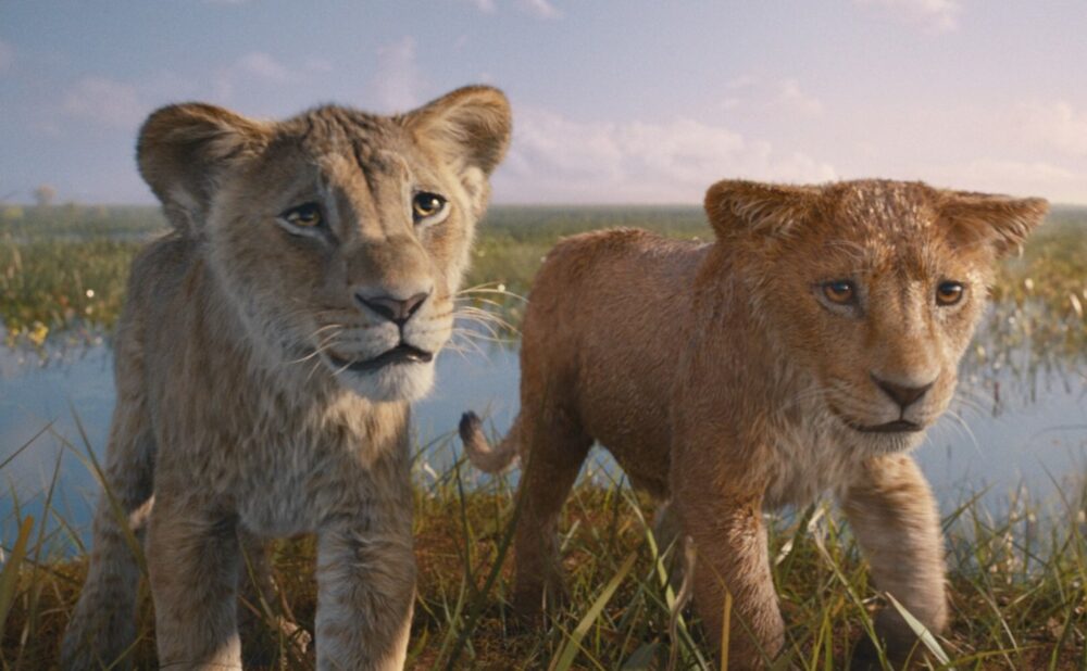 Zdjęcie okładkowe wpisu: Mufasa: Król Lew. Bohaterowie filmu Disneya na nowych plakatach