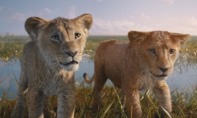 Zdjęcie okładkowe wpisu: Mufasa: Król Lew. Bohaterowie filmu Disneya na nowych plakatach