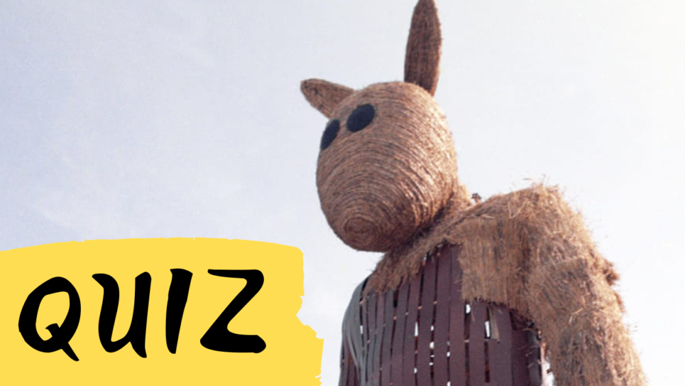 Zdjęcie okładkowe wpisu: QUIZ: Jak dobrze znasz film Miś?