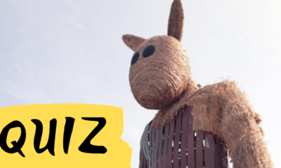 Zdjęcie okładkowe wpisu: QUIZ: Jak dobrze znasz film Miś?