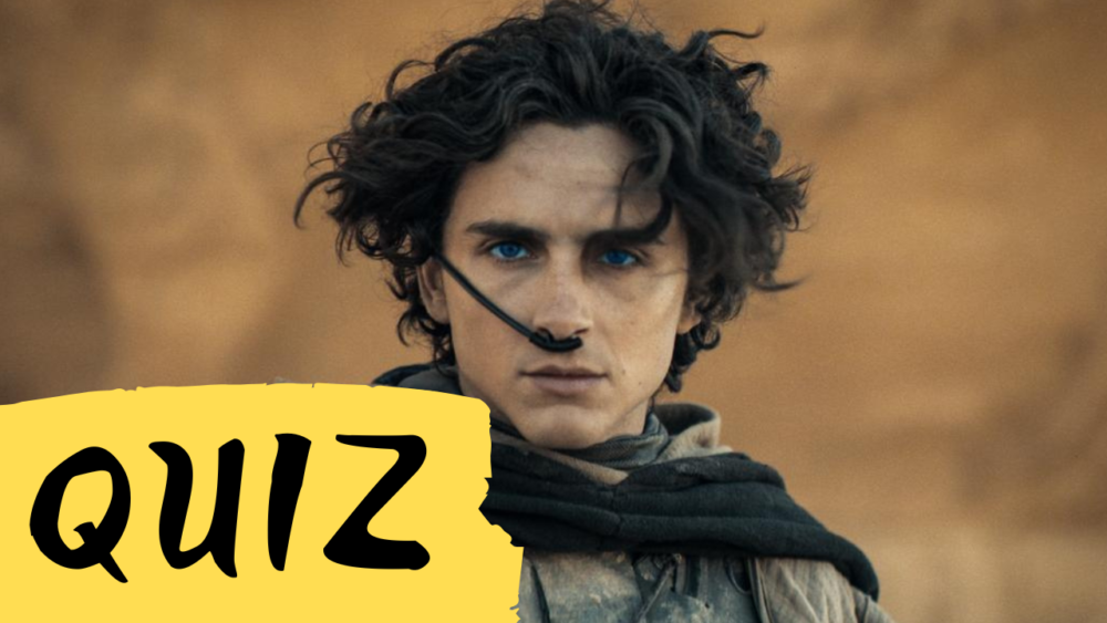 Zdjęcie okładkowe wpisu: QUIZ: Rozpoznaj filmy, w których zagrał Timothée Chalamet