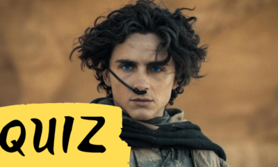 Zdjęcie okładkowe wpisu: QUIZ: Rozpoznaj filmy, w których zagrał Timothée Chalamet