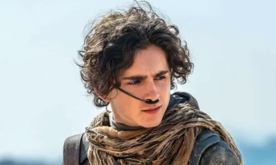 Zdjęcie okładkowe wpisu: Więzień labiryntu i Niezgodna nie dla Chalameta? Aktor jest zbyt chudy na akcyjniaki