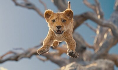 Zdjęcie okładkowe wpisu: Dawid Podsiadło przejmuje Netflix, a Mufasa kina. Premiery tygodnia w kinach i na VOD!