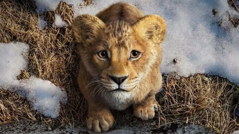 Zdjęcie okładkowe wpisu: Mufasa pobity przez Sonica! Disney zalicza słaby start w box office