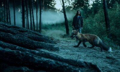 Zdjęcie okładkowe wpisu: CZARNE STOKROTKI: czym są Biedaszyby i Lisia Sztolnia?