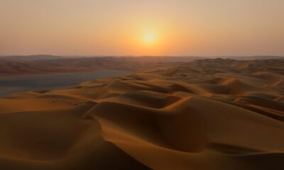 Zdjęcie okładkowe wpisu: „Najważniejsze, żeby zwierzęta czuły się komfortowo” – wywiad z dr. Łukaszem Bożyckim