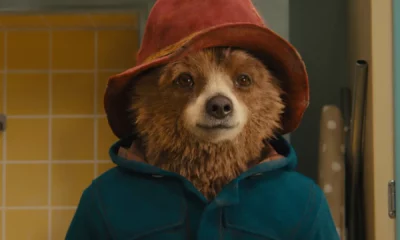 Zdjęcie okładkowe wpisu: Ambitne plany na dalsze przygody misia Paddingtona