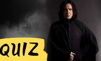 Zdjęcie okładkowe wpisu: QUIZ: Jak dobrze znasz Severusa Snape’a?