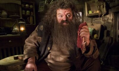 Zdjęcie okładkowe wpisu: Nowy Hagrid wybrany? Kogo jeszcze zobaczymy w serialowym Harrym Potterze?