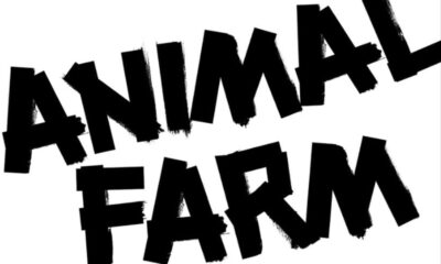 Zdjęcie okładkowe wpisu: Powstaje nowa adaptacja powieści Folwark zwierzęcy. Głośne nazwiska w obsadzie filmu