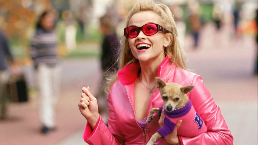 Zdjęcie okładkowe wpisu: Nowa Elle Woods na pierwszym zdjęciu z  prequela Legalnej blondynki