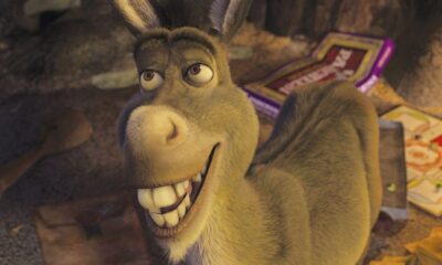 Zdjęcie okładkowe wpisu: On lata! On gada! Maciej Stuhr przejmie rolę Osła po zmarłym ojcu